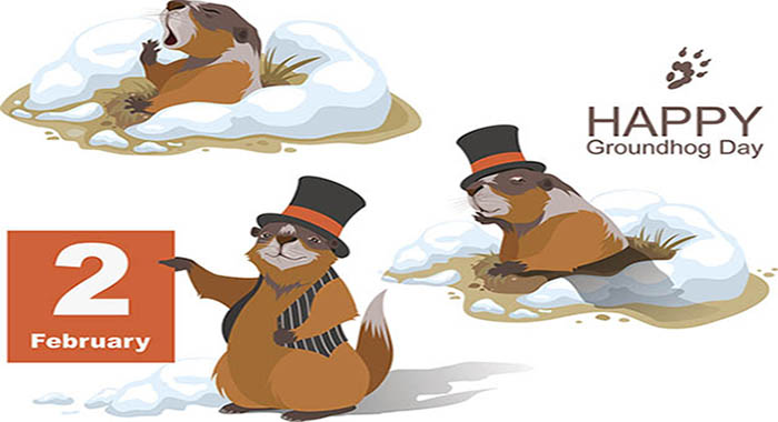 Will The Groundhog Give Us A Break From This Bleak Weather?