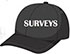 Surveys ballcap for April blog sweepstakes