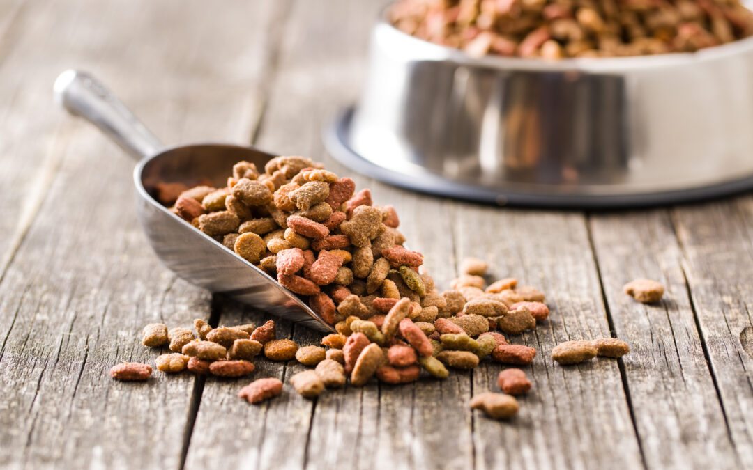 Pet Food Trends