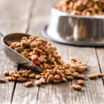 Pet Food Trends