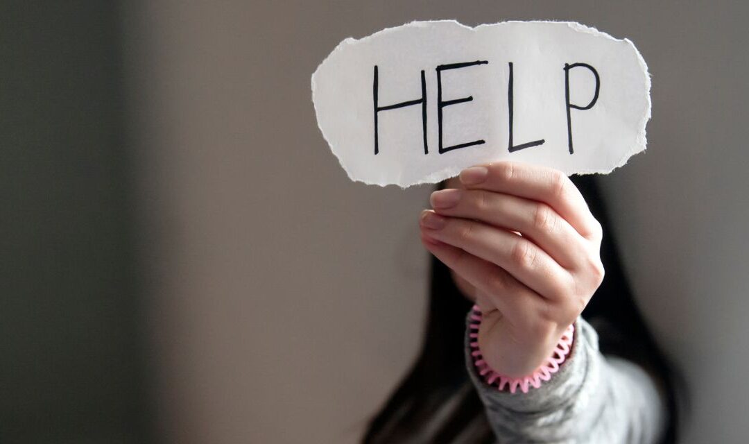 Having Issues with Your NCP Account? Here’s What to Do (and What Not to Do!)