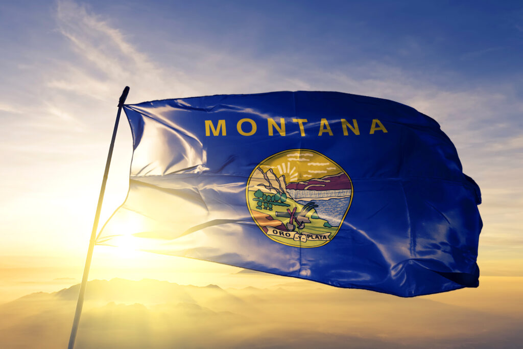 Montana State Flag