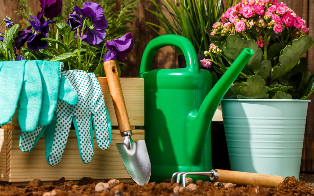 Gardening Tips to Get You Growing