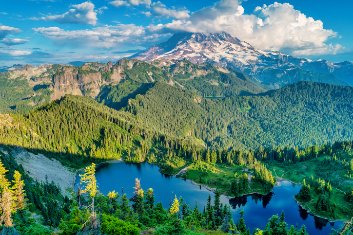 Mount Rainier Washington