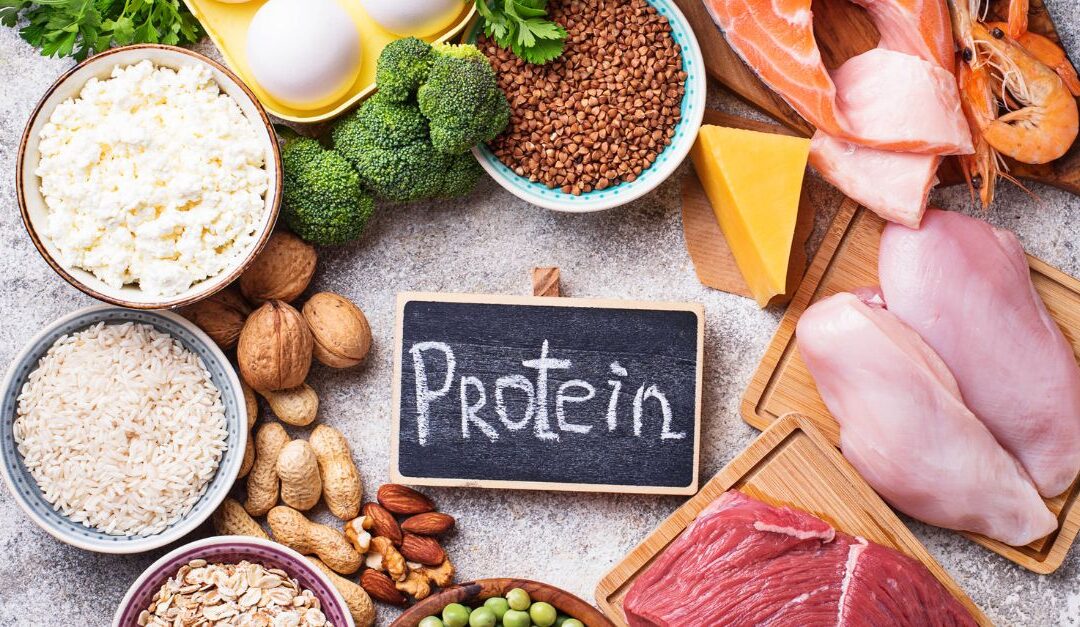 Power Up With Protein