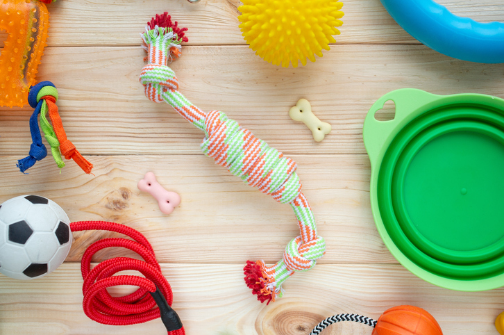 Pet toys