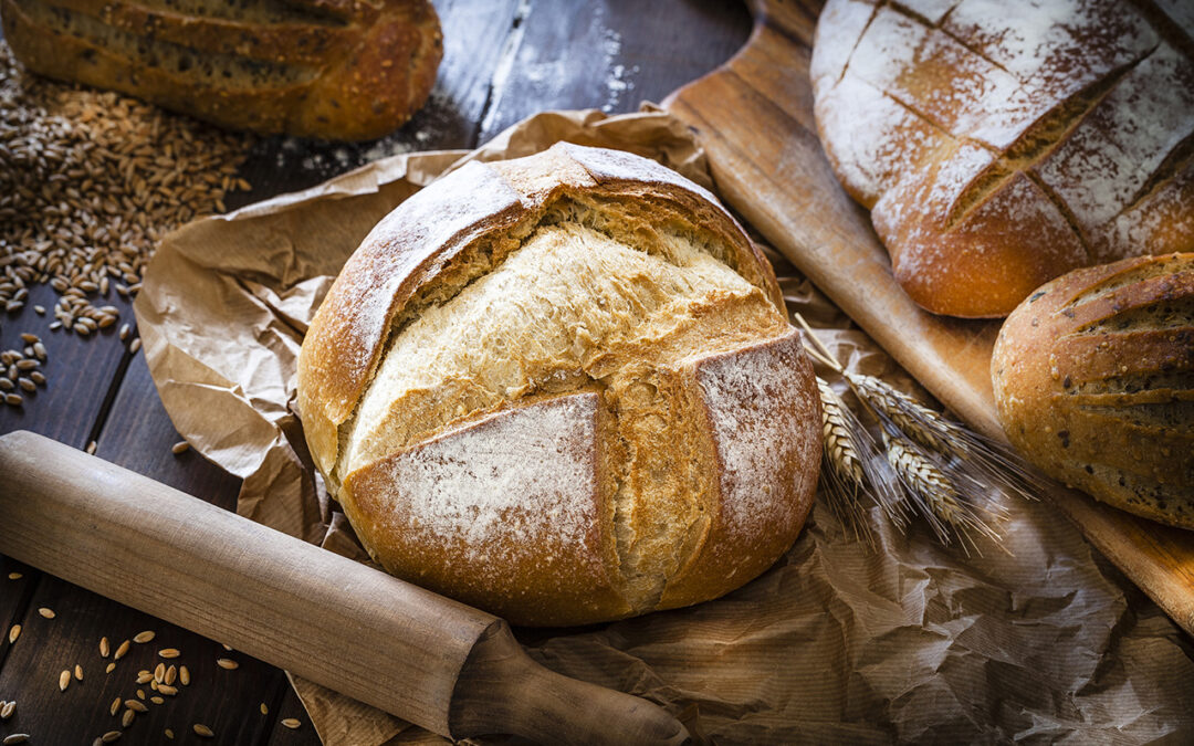 The Timeless Appeal of Sourdough