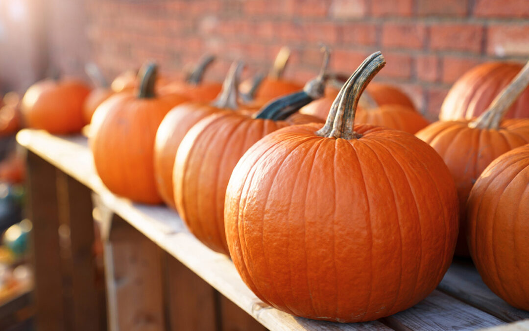 Beyond the Jack-o’-Lantern