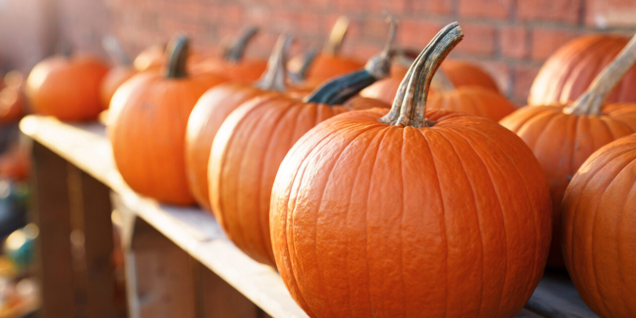 Beyond the Jack-o’-Lantern