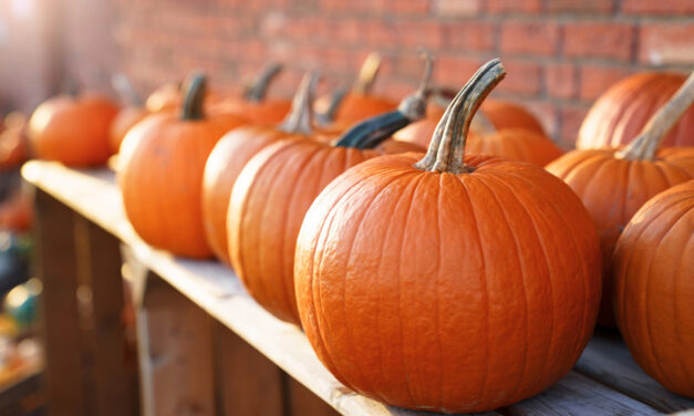 Beyond the Jack-o’-Lantern