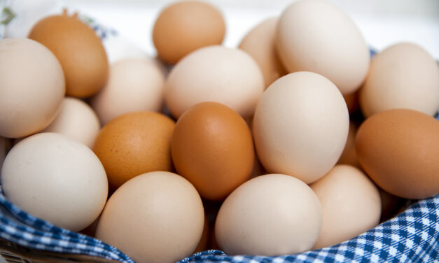 Making Egg-cellent Choices