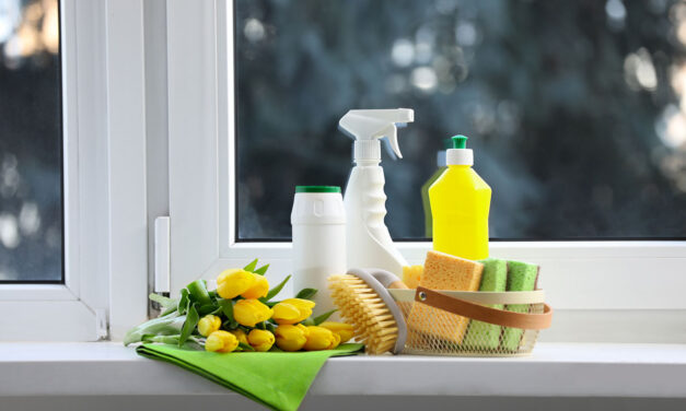 Clean Space, Fresh Mindset